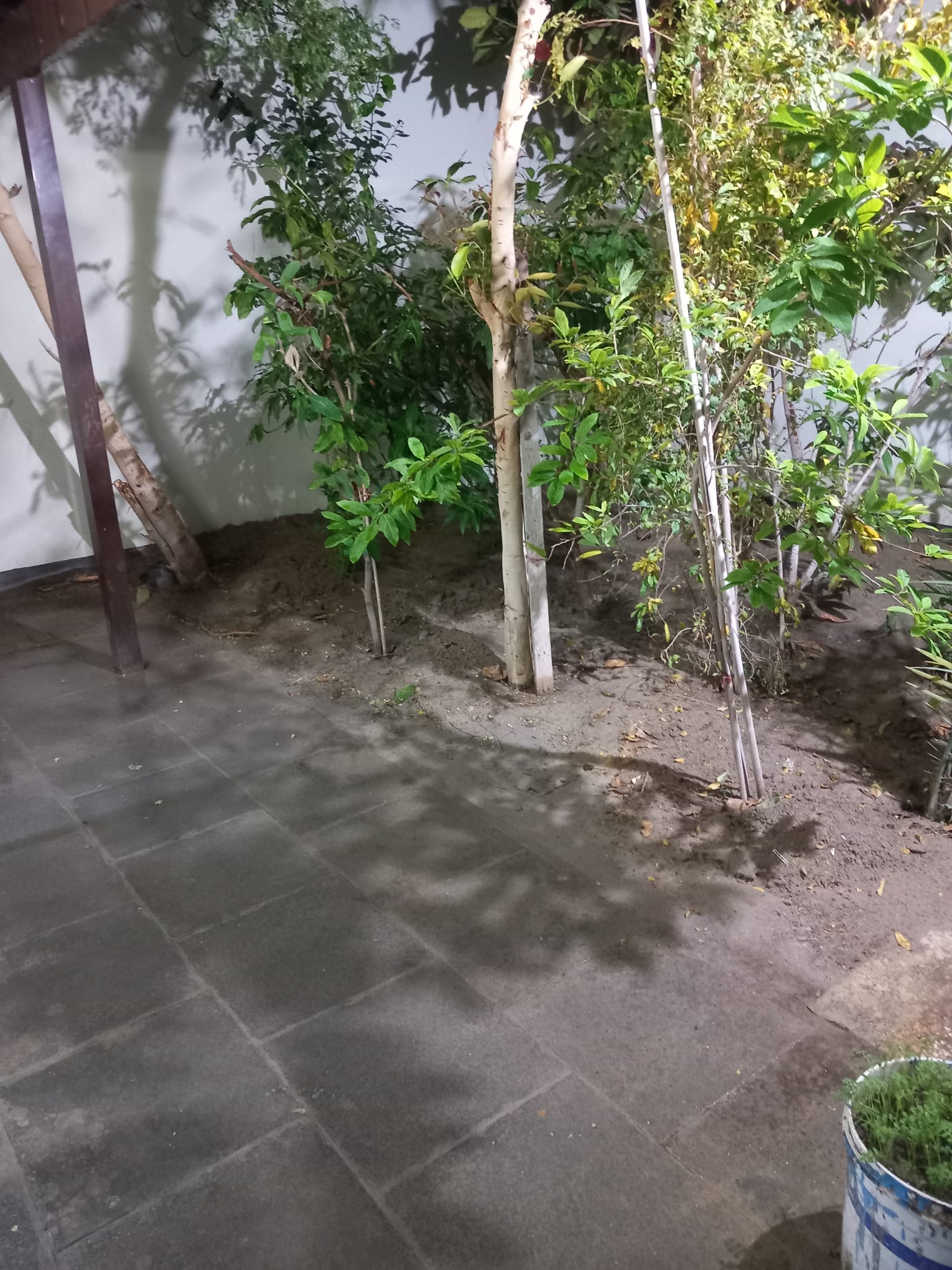 1769580309_WhatsApp Image 2026-01-26 at 11.27.31 AM.jpeg